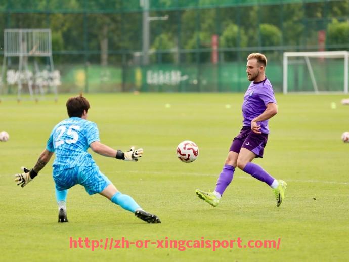 杏彩体育-法甲里昂经典比赛回顾与胜利时刻