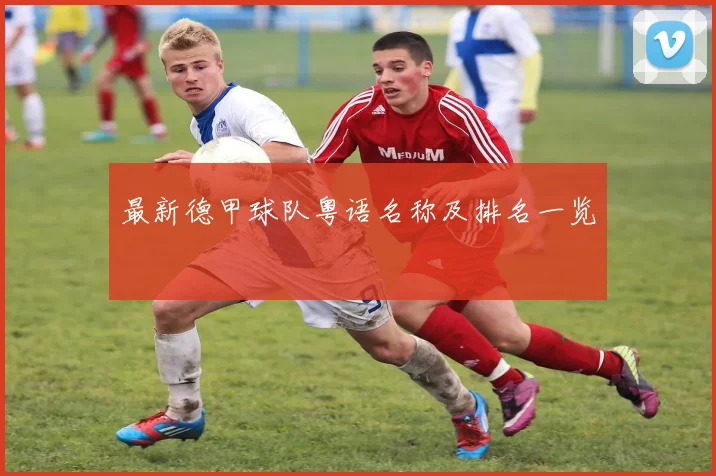 最新德甲球队粤语名称及排名一览
