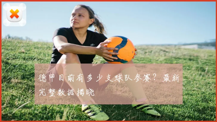 德甲目前有多少支球队参赛？最新完整数据揭晓